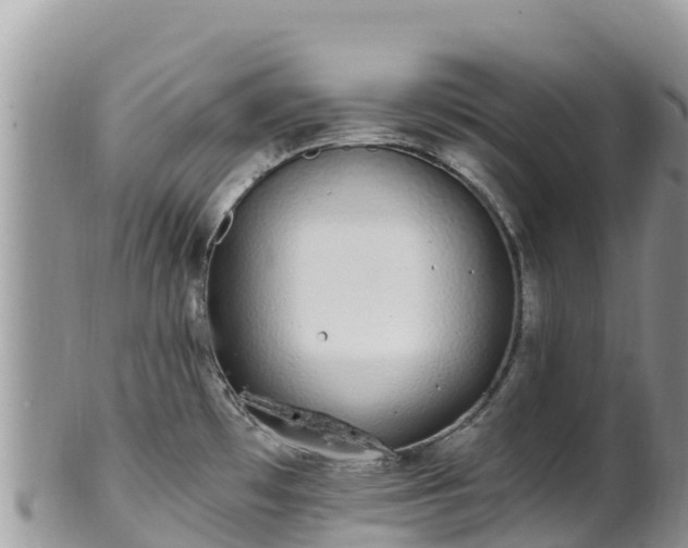 X0000102291481200808011502