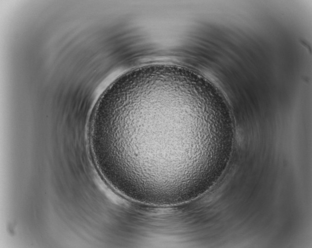 X0000102291482200808011502