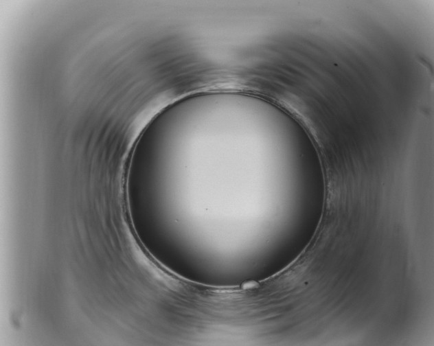 X0000102291483200808011502