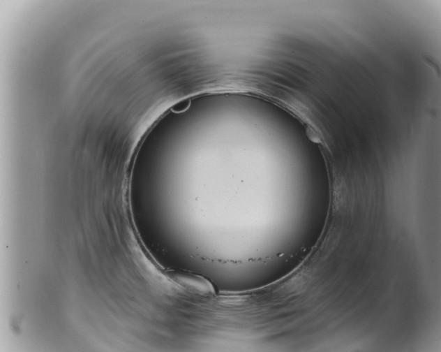 X0000102291484200808011501