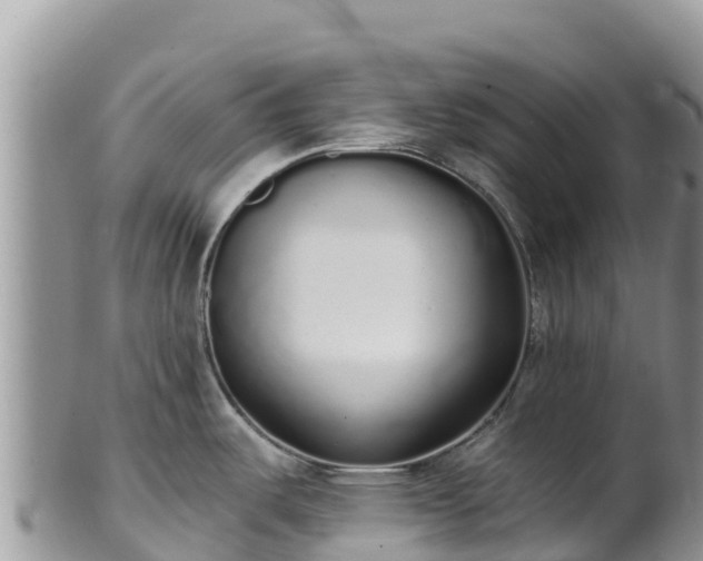 X0000102291487200808011501