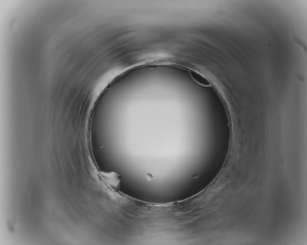 X0000102291488200808011501