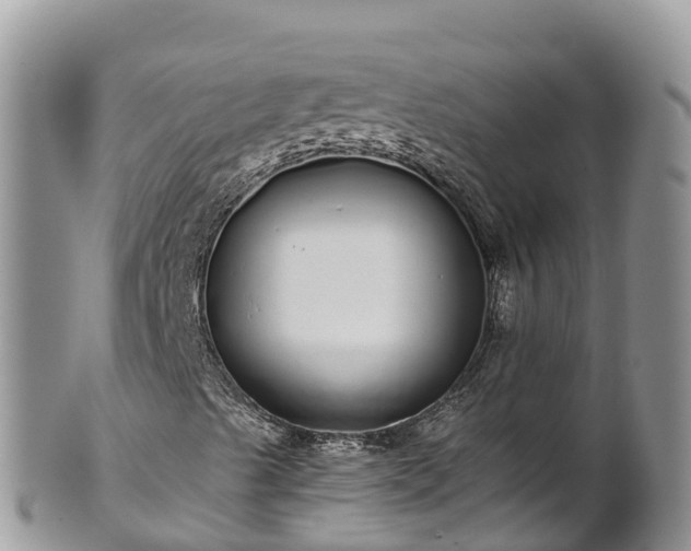 X0000102291489200808011501