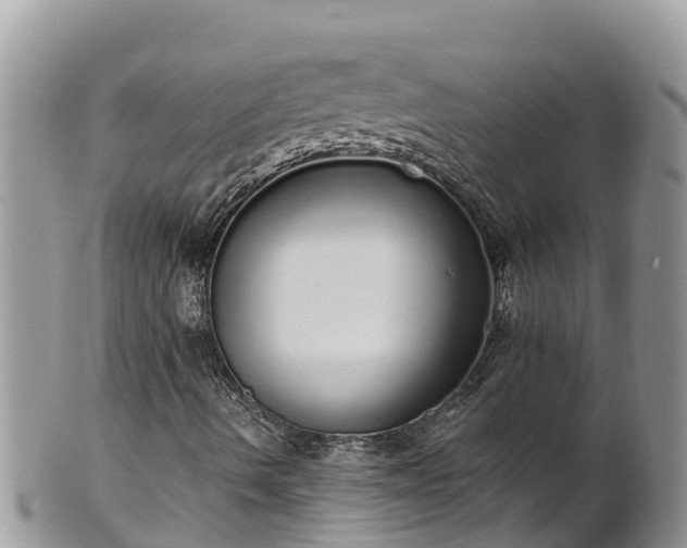 X0000102291490200808011501