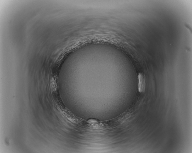 X0000102291491200808011501