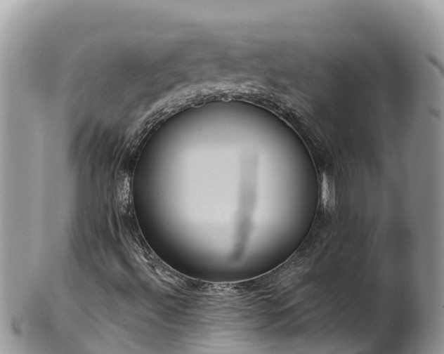 X0000102291492200808011501