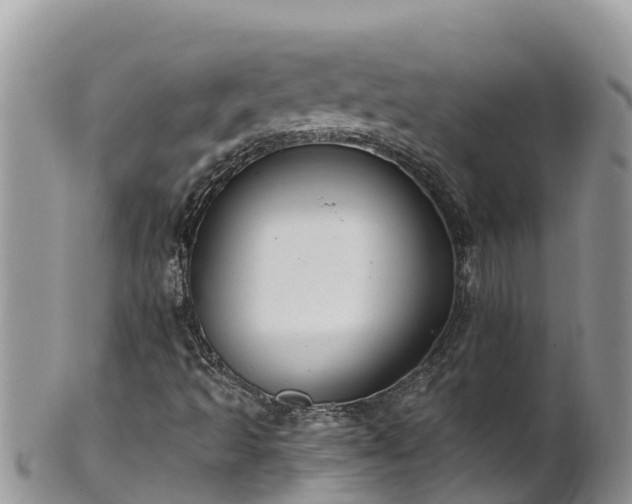 X0000102291493200808011501