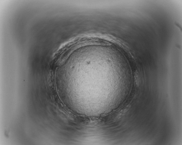 X0000102291494200808011501