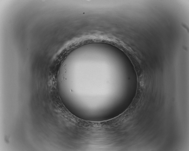 X0000102291495200808011501