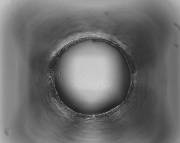 X0000102291496200808011501