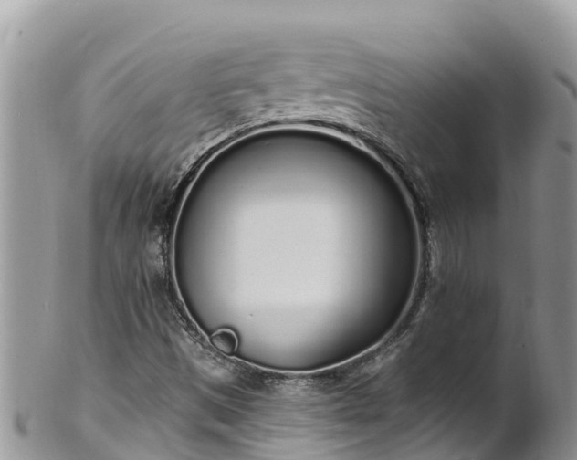 X0000102291497200808011501