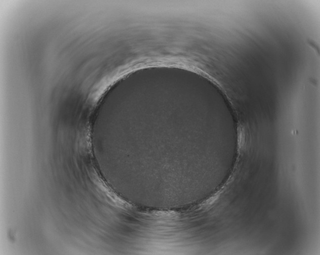 X0000102291498200808011501