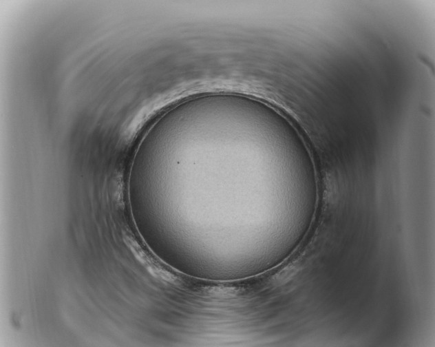 X0000102291499200808011501