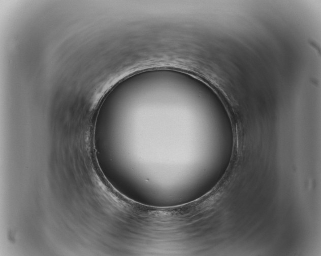 X0000102291500200808011501