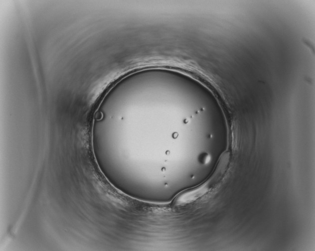 X0000102291501200808011501