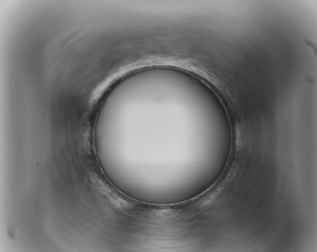 X0000102291502200808011501