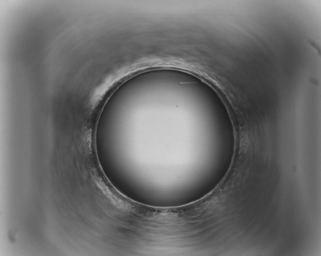 X0000102291503200808011501