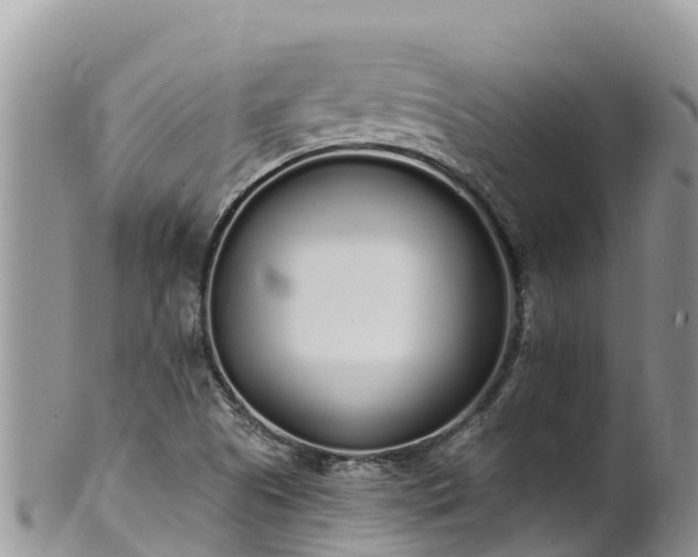 X0000102291505200808011501