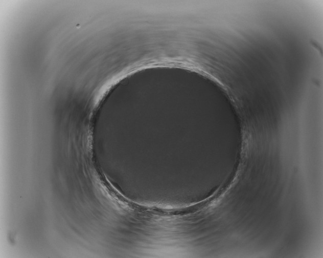 X0000102291506200808011501