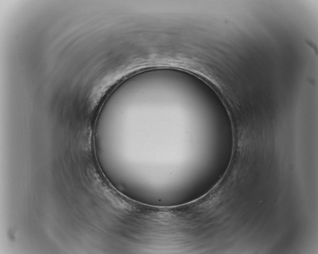 X0000102291507200808011501