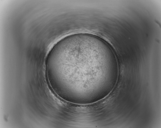 X0000102291508200808011501