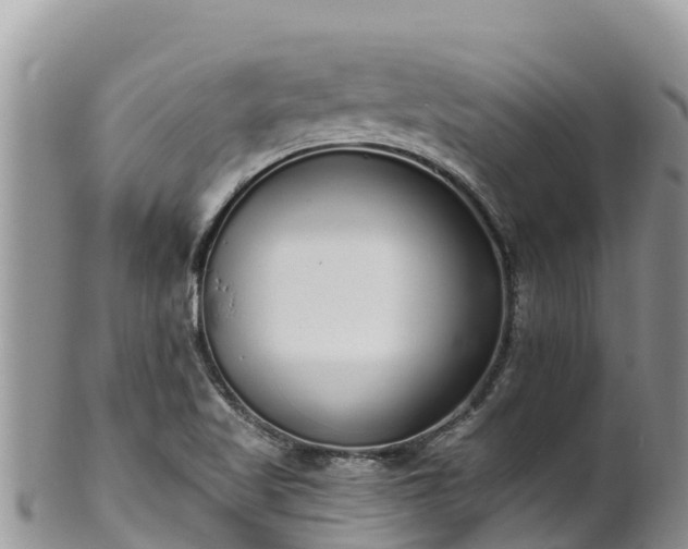 X0000102291509200808011501