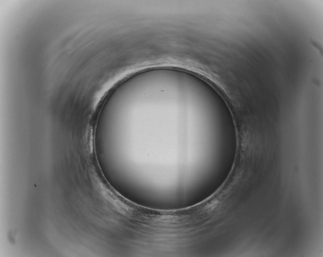 X0000102291510200808011501