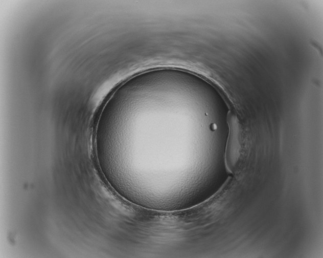 X0000102291511200808011501