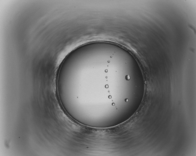 X0000102291512200808011501