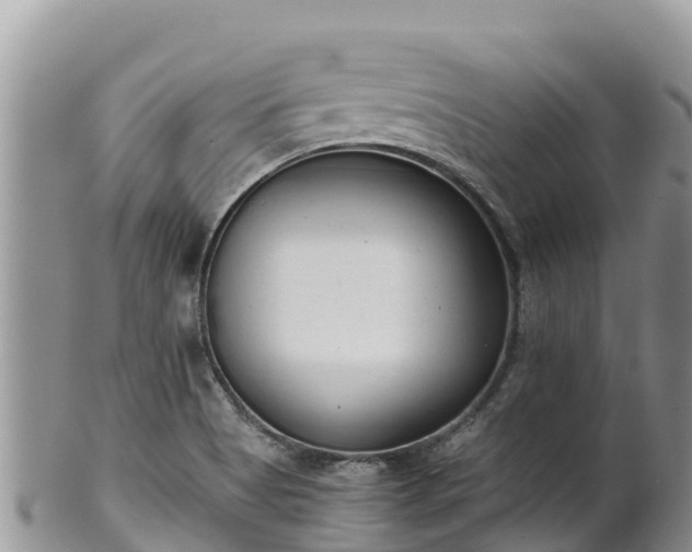 X0000102291513200808011501