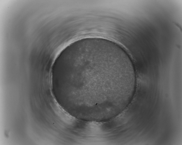 X0000102291514200808011501