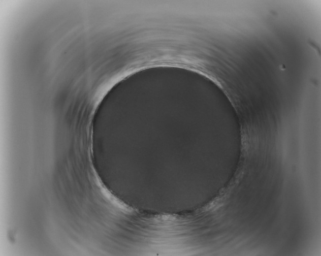 X0000102291515200808011501