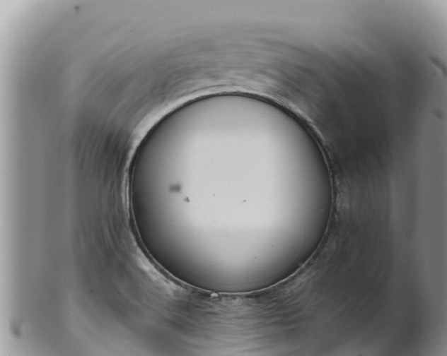 X0000102291516200808011501