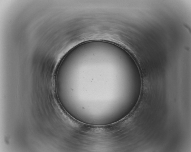 X0000102291517200808011501