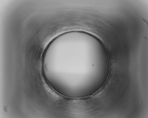 X0000102291518200808011501