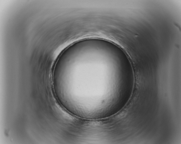 X0000102291519200808011501