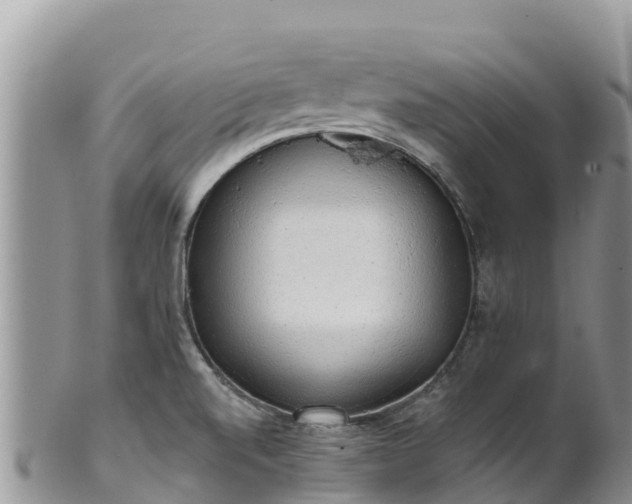 X0000102291520200808011501