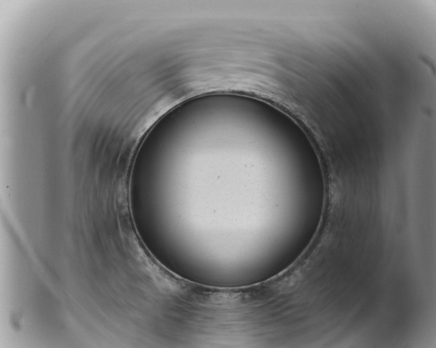 X0000102291521200808011501