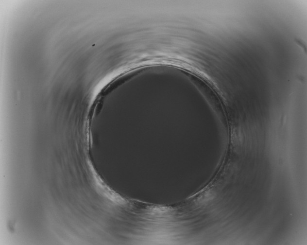 X0000102291522200808011501