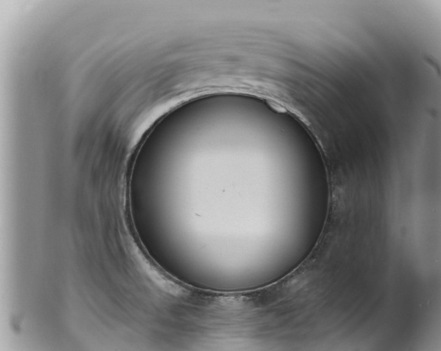 X0000102291523200808011501