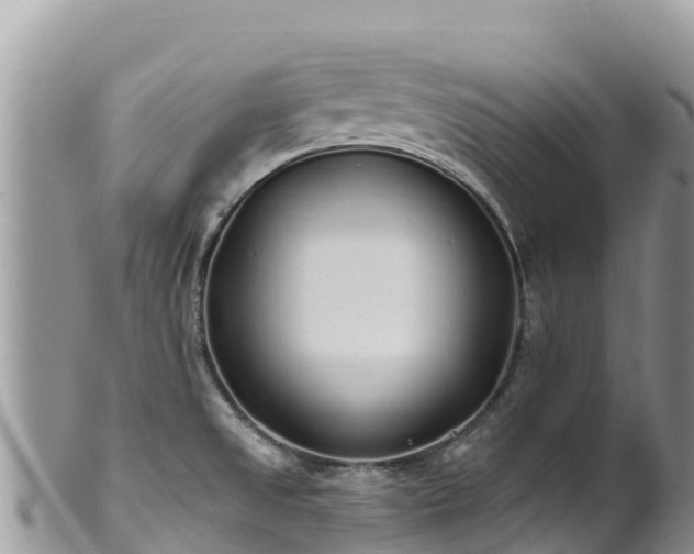 X0000102291525200808011501