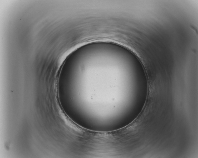 X0000102291526200808011501