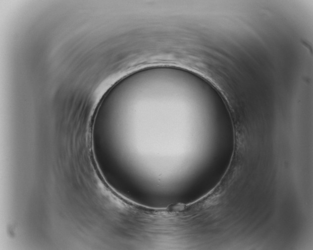 X0000102291527200808011501