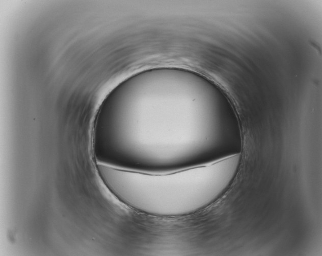 X0000102291528200808011501