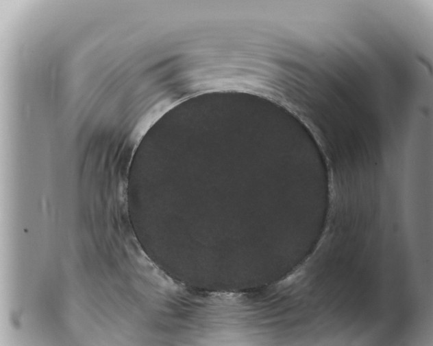 X0000102291529200808011501