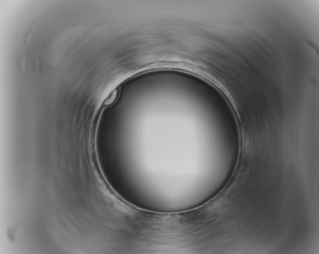 X0000102291533200808011501