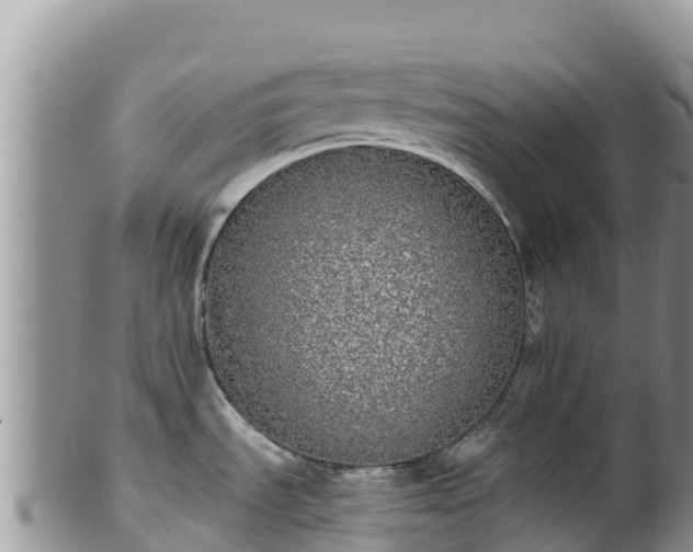 X0000102291535200808011501