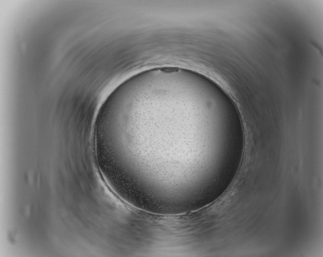 X0000102291536200808011501