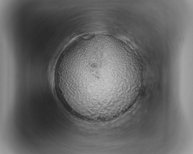 X0000102290002200808081533