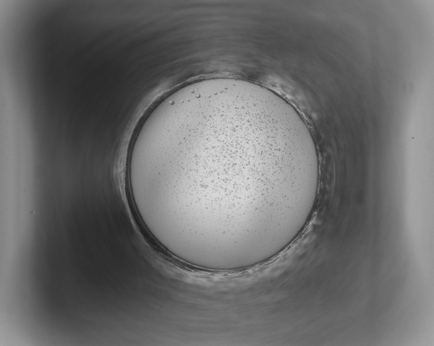 X0000102290003200808081533